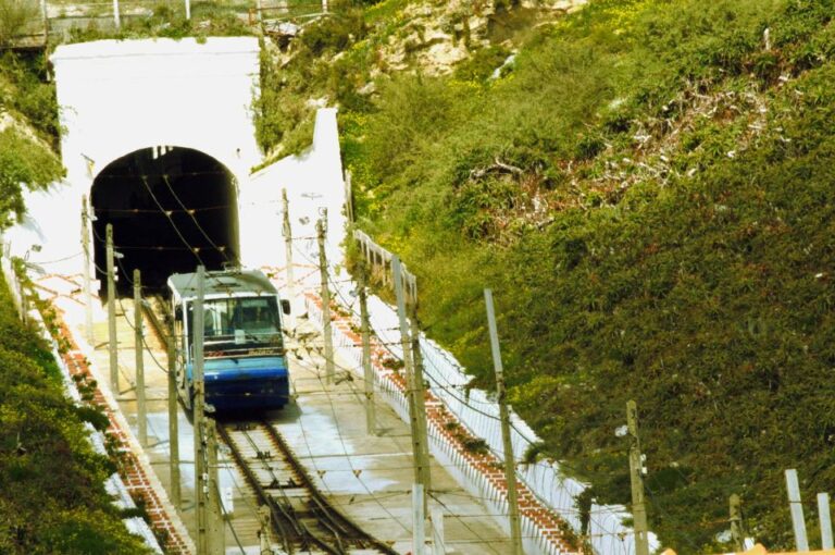 Best of Nazaré Tour