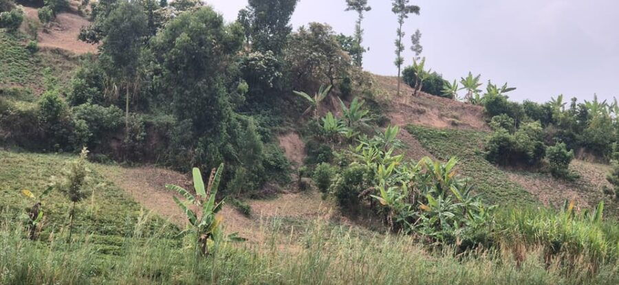 BIGOGWE : Rock Climbing and Cow Milking & Corn Roasting Tour - An In-Depth Look at the Bigogwe Experience