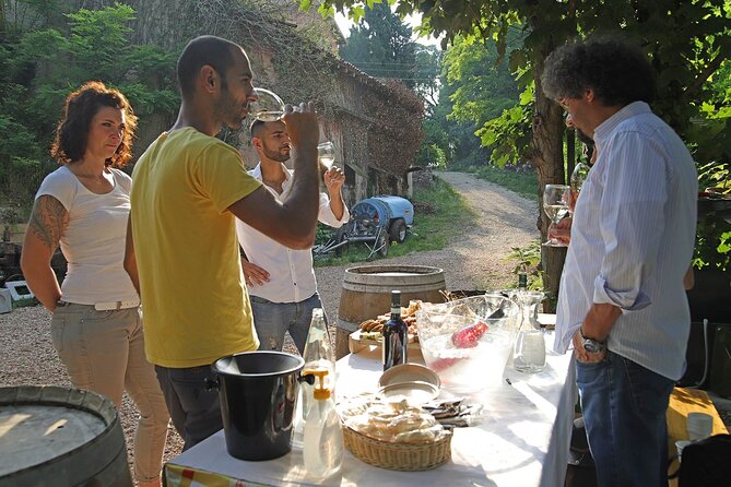 Biodynamic Farm and Natural Wines Tasting in Lazise - A Closer Look at the Experience
