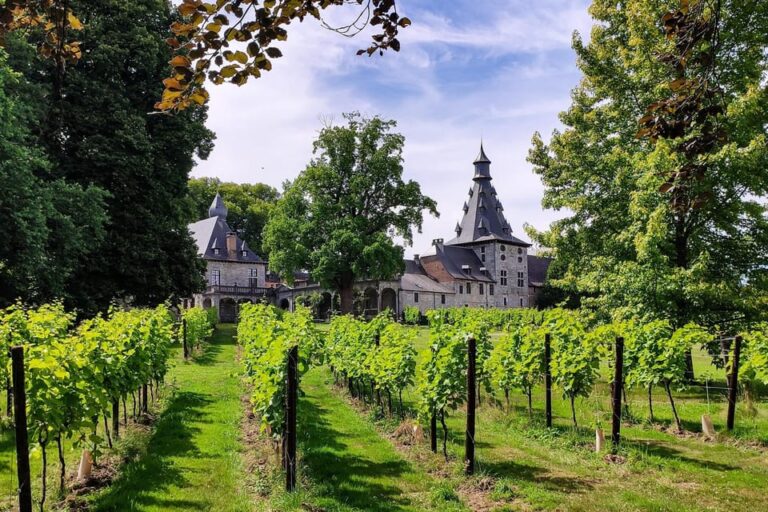 Bioul (near Dinant) : Château de Bioul Tour and Wine Tasting