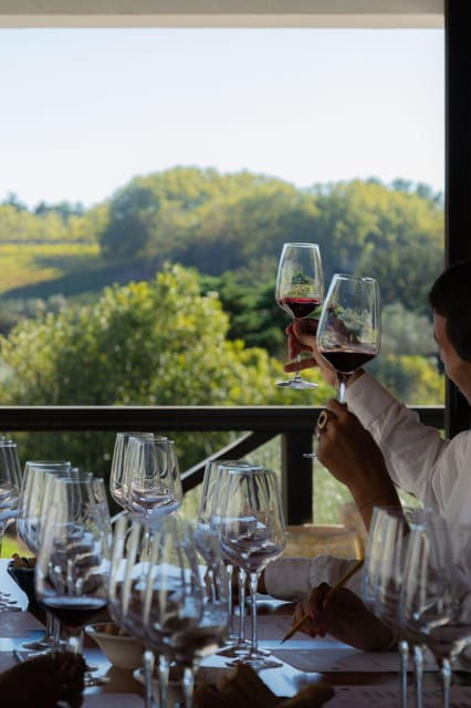 Blind Wine Tasting - An In-Depth Look at the Blind Wine Tasting Experience