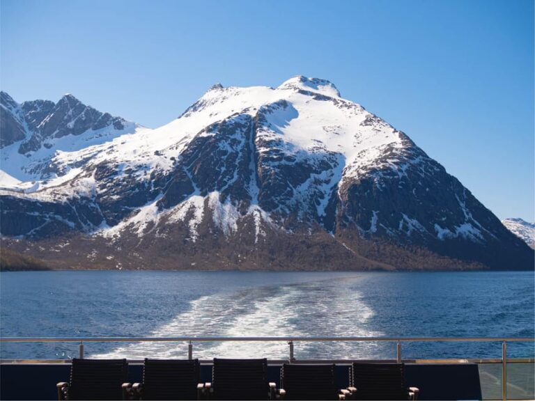 Bodø: Beiar Fjord & Saltstraument Cruise