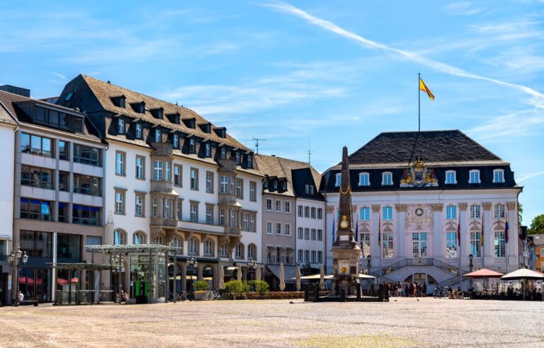 Bonn: Express Walk with a Local
