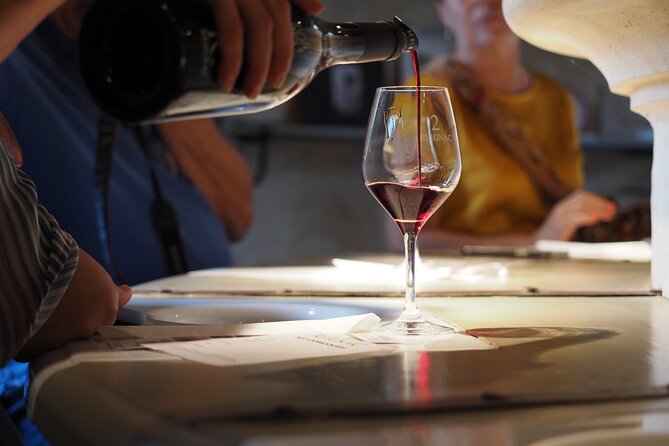 Bordeaux in a Day City and Chateau Visit Shared Walking Tour - The Value of This Tour