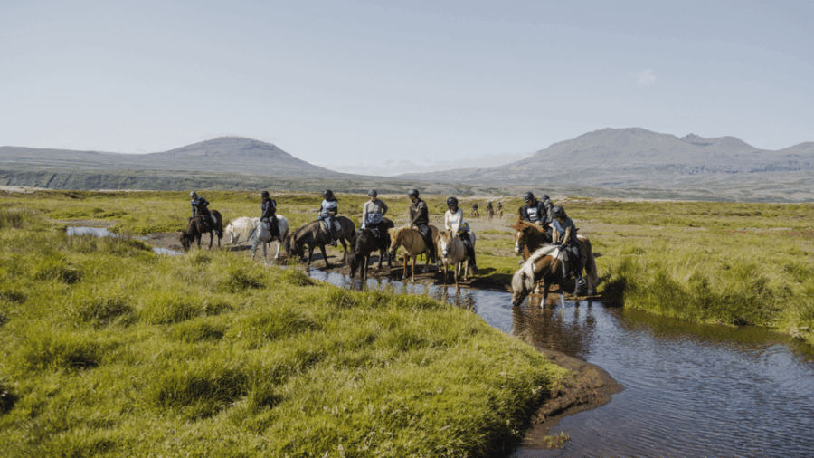Borgarnes: Horseback Riding Tour with Prep Lesson - What to Expect on the Borgarnes Horseback Riding Tour