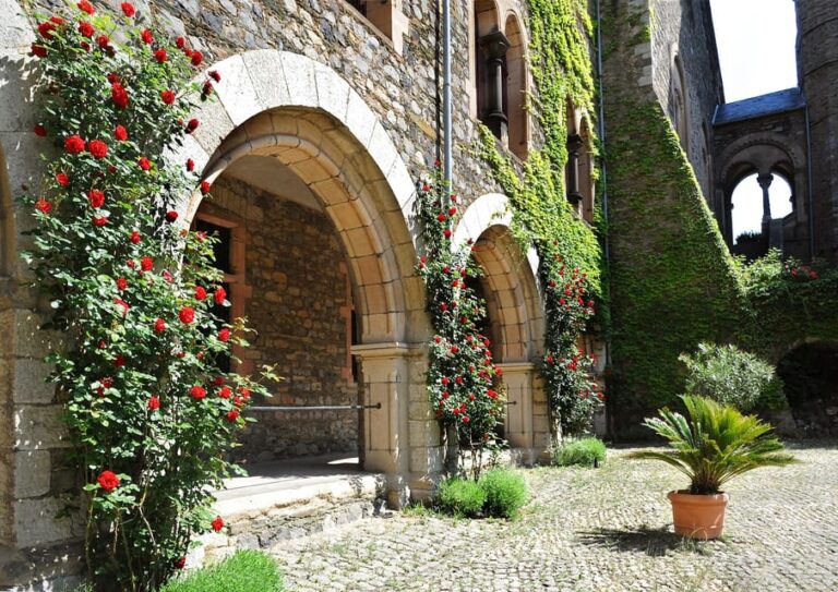 Braunfels: Guided Tour of the Fairytale Castle Braunfels