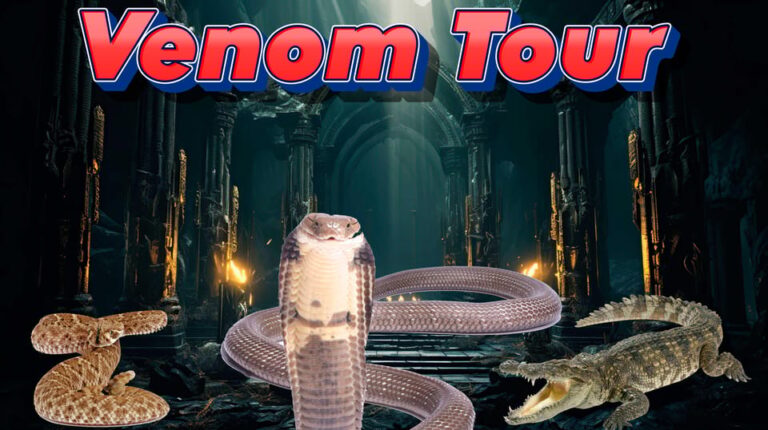 Bristol: Venomous Snake Tour w/ Guide & Croc Photo