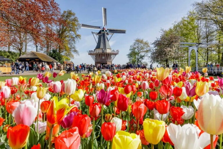 Brussels: Holland Keukenhof & Kinderdijk Guided Day Tour