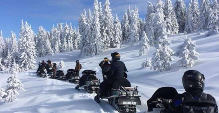 Bucharest: Carpathian Snowmobile Adventure Tour
