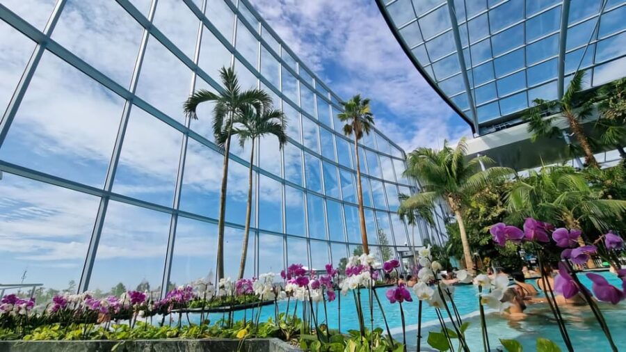 Bucharest: City Tour and Therme Spa Day Trip with Transfer - An In-Depth Look at the Tour Experience