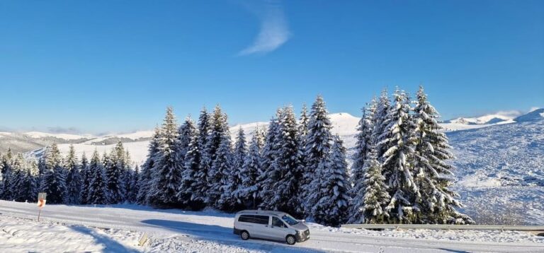 Bucharest: Snowmobile Tour with Pele Castle and Cable Car