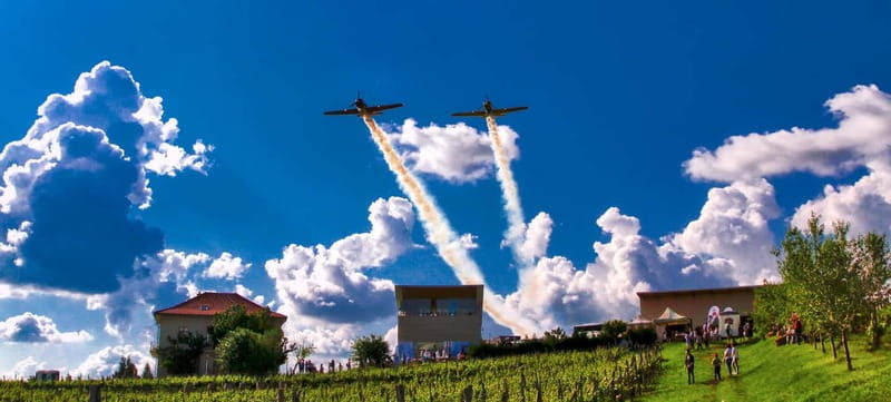 Bucharest: Taste the Magic of Wine in Romanias Tuscany - Exploring the Wineries and the Region