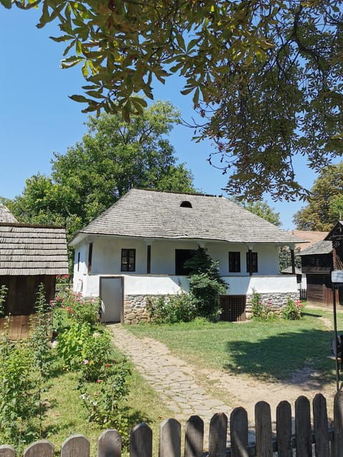 Bucharest: Village Museum guided tour with Hotel pickup - Exploring the Village Museum and Bucharest City Highlights