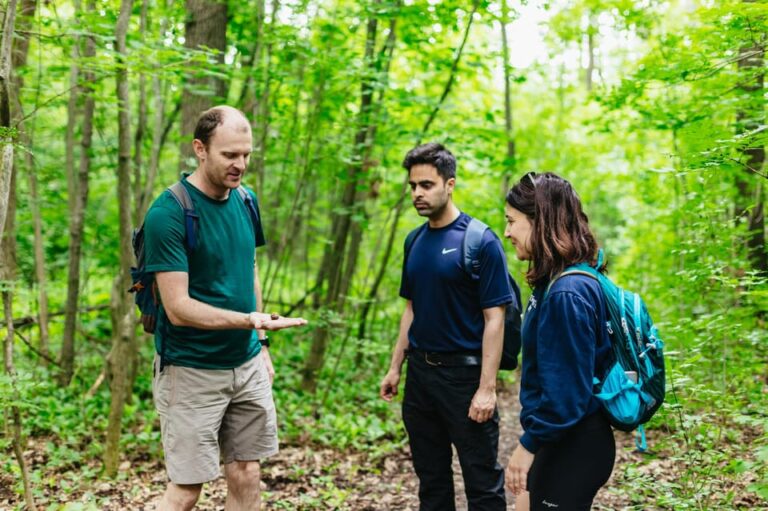 Budapest: Buda Hills Guided Hiking Tour with Optional Lunch