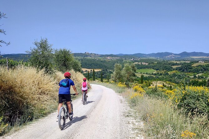By Ebike: Visit an Art Park and Wine Taste in the Classic Chianti - What to Expect from the E-bike Tour in Chianti