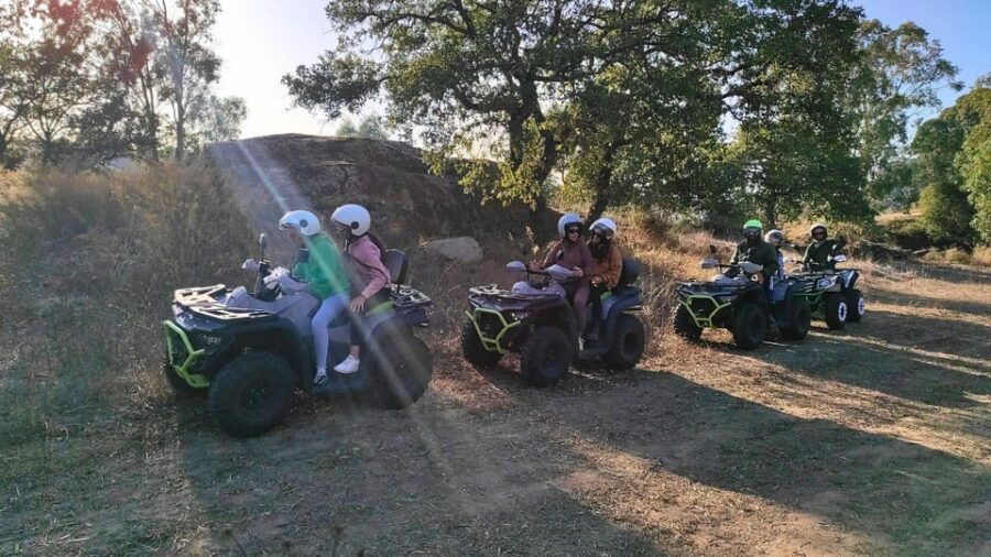 Cagliari: 4-hour ATV tour from Guasila - Why Choose This ATV Tour in Sardinia?