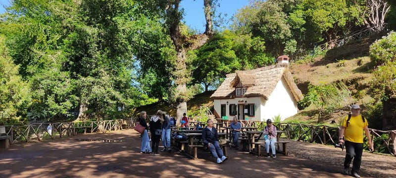 Caldeirão Verde: Queimadas PR9 Transfer and Self-Guided Hike - Exploring Madeira’s Green Wonders: An Honest Review