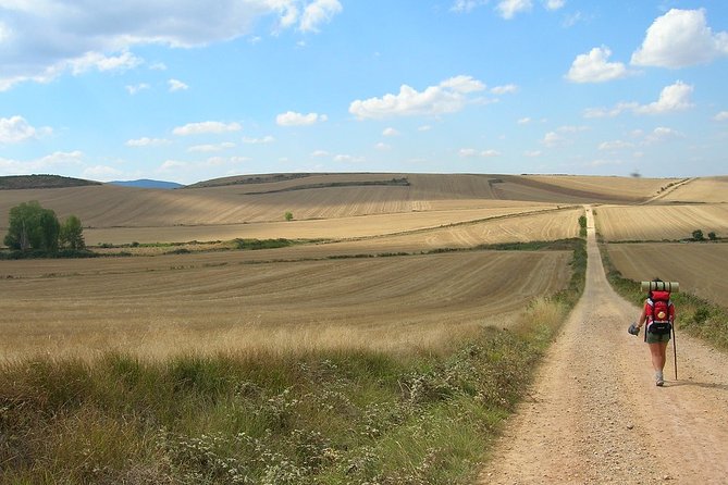 Camino De Santiago: Last 100 km walk from Sarria to Santiago de Compostela