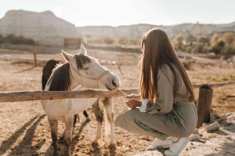Cappadocia: Horse Riding Tour with Hotel Transfer