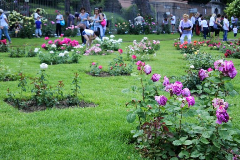 Captivating Pearls of Rome Family Walking Tour