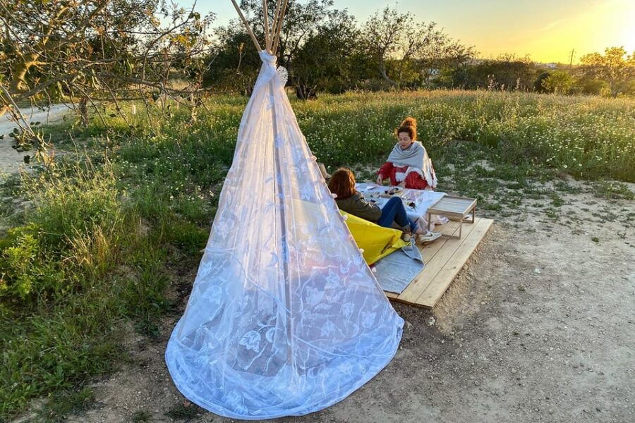 Carvoeiro, Portimão, Lagos: Algarve Romantic Vineyard Picnic - An In-Depth Look at the Algarve Romantic Vineyard Picnic