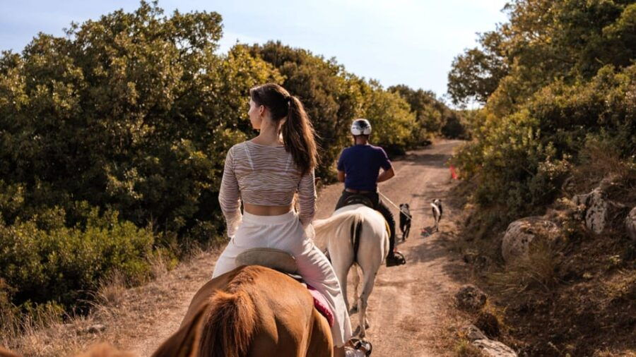 Castelsardo: horseback in Sedini - Discovering Sardinia on Horseback: An Authentic Ride in Sedini