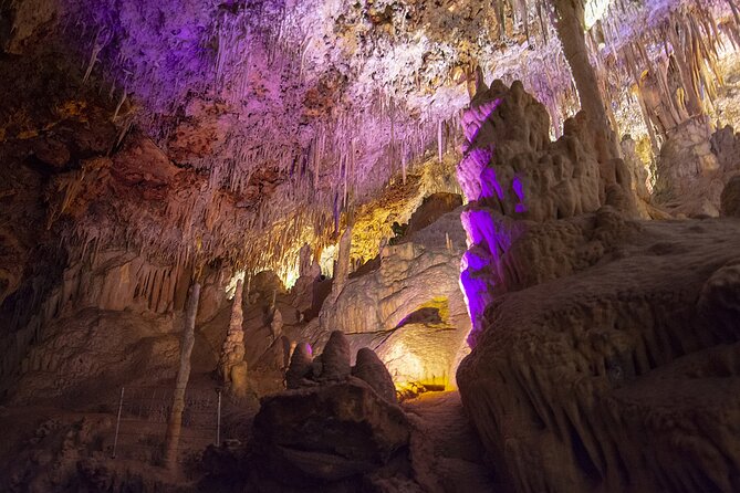 Caves Drach Boat Trip from Alcudia with Return Bus and Tickets - Introduction: Why Consider the Caves Drach Tour?