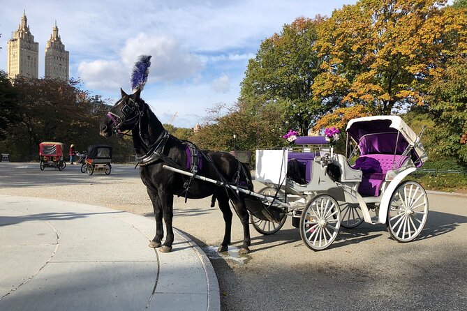 Central Park Horse Carriage Rides Since 2005