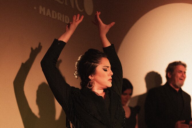 Centro Cultural Flamenco Madrid Admission Ticket