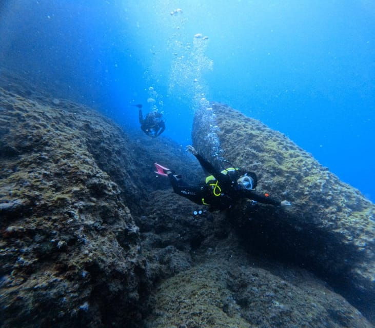 Chania Scuba Diving | Fun Dives | Certified Divers - An In-Depth Look at the Experience