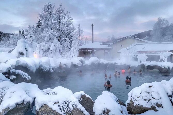 Chena Hot Springs Day Tour with transportation - Chena Hot Springs: The Main Attraction