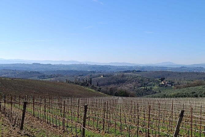 Chianti Adventure E-bike tour rental - Why E-bikes Make a Difference