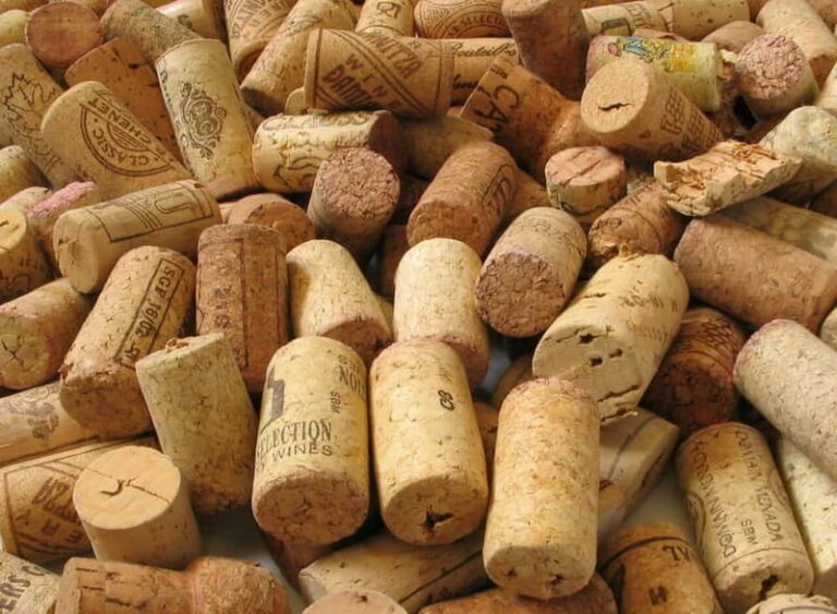 Chianti Half-Day Wine Tour included meal & tasting (5hrs)