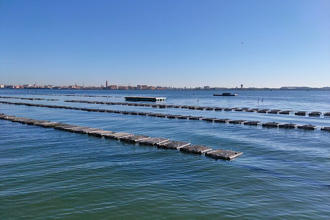 Chioggia : Aquaculture Secrets Tours of the Lagoon - Good To Know