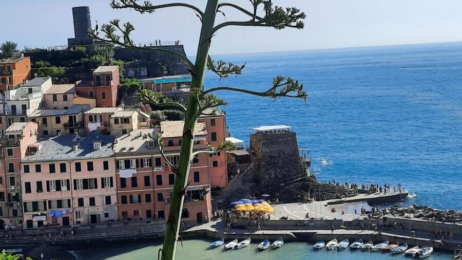 Cinque Terre Semi-Private Day Tour from Montecatini Terme - Good To Know