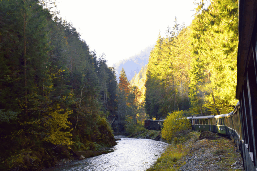 CJ03 - Day trip to Maramures Mocanita Train from Cluj Napoca - An in-depth look at the experience