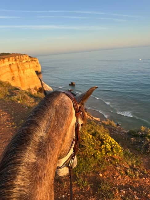 Cliffside Horseback Riding in the Algarve - Exploring the Algarve on Horseback: What to Expect