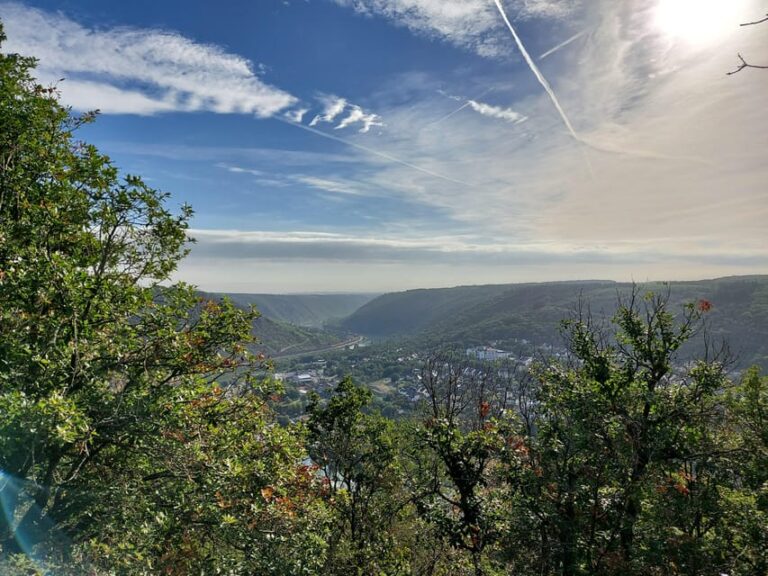 Cochem, Moselle: Wine experience hike with boat
