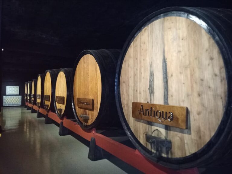 Coimbra: Rota da Bairrada gastronomic tour