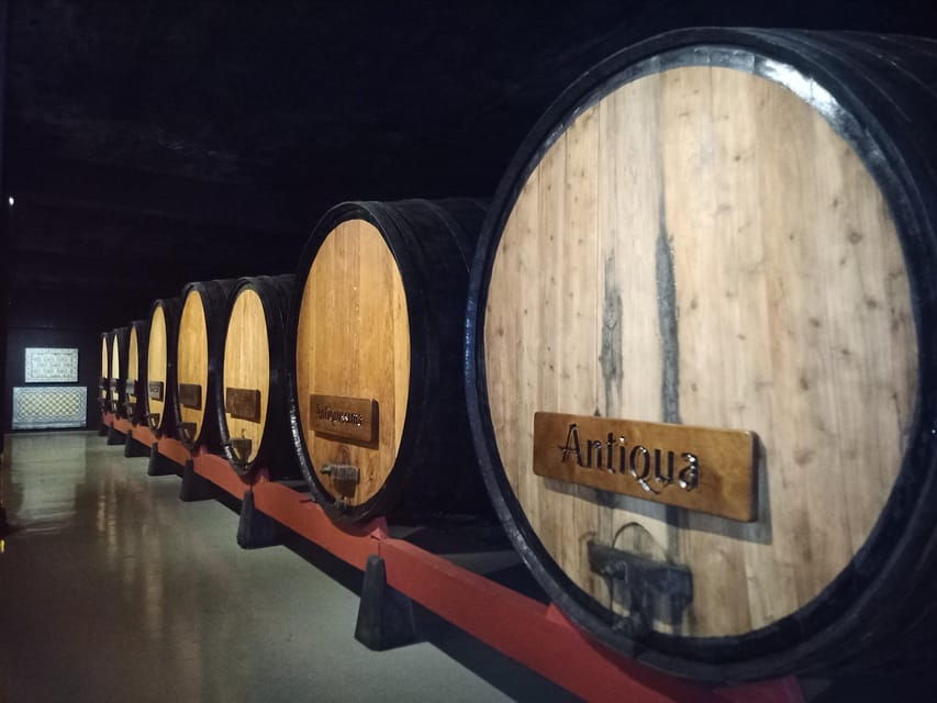 Coimbra: Rota da Bairrada gastronomic tour - Introduction: Why Consider the Rota da Bairrada Gastronomic Tour?