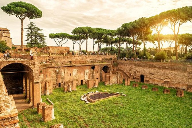 Colosseum and Roman Forum Private Tour