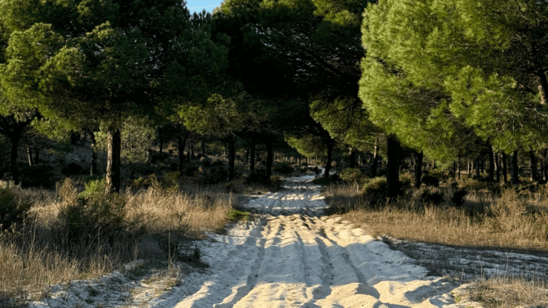 COMPORTA: LAND ROVER PREMIUM TOUR | PICNIC & DRONE INCLUDED