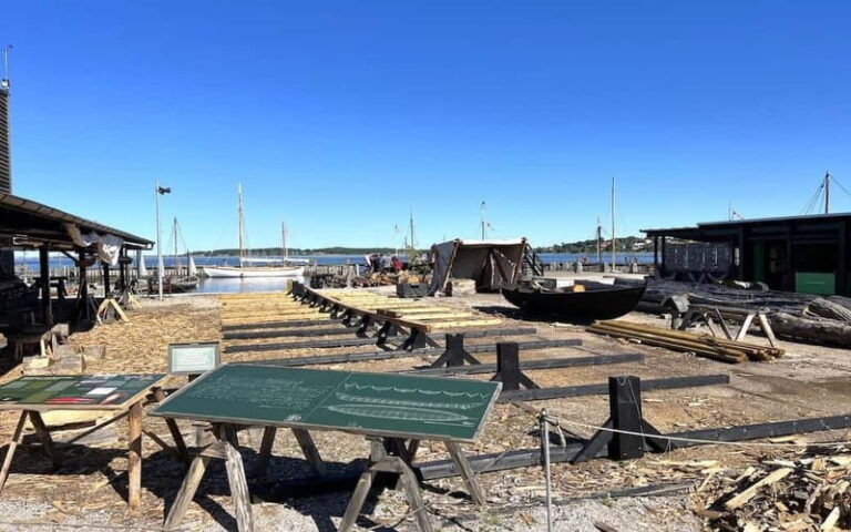 Copenhagen: Roskilde, the Viking City Tour in English