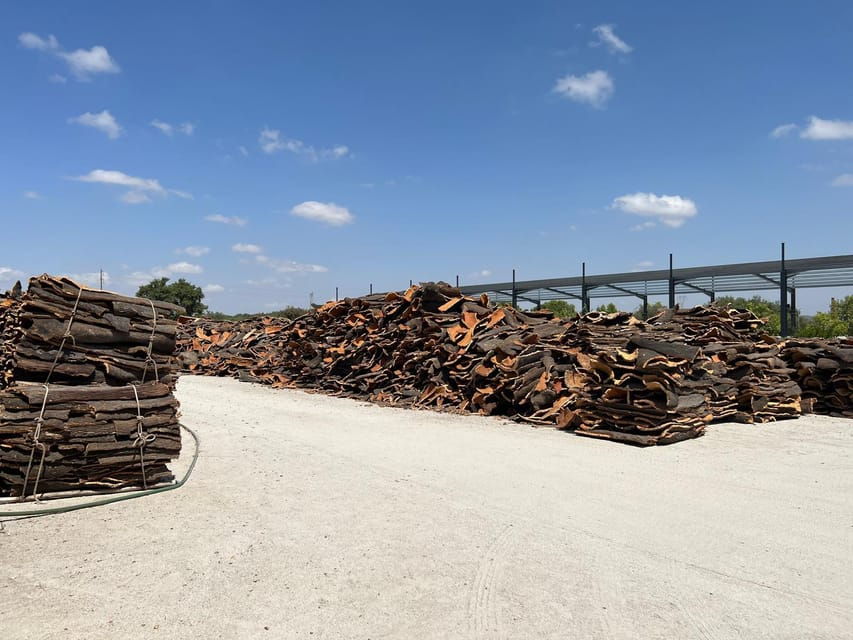 Cork Factory, Wine Tasting & Évora Visit - Why This Tour Delivers Real Value