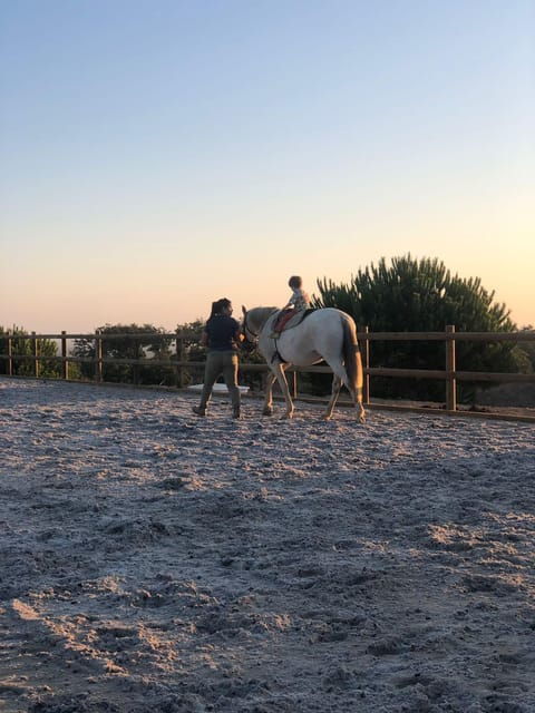 Costa Alentejana: Horse tour in Serra de Grândola