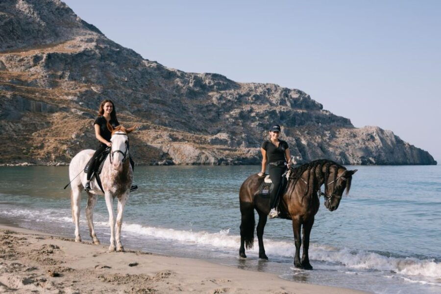 Crete Horse Riding: Plakias Beach Ride - An In-Depth Look at the Plakias Beach Ride Experience