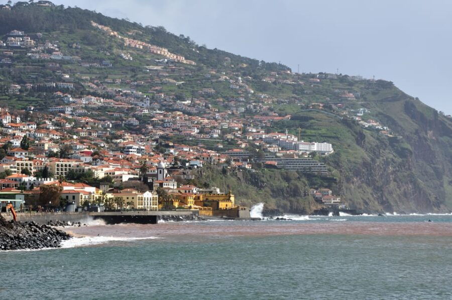 Cristo Rei Guided TukTuk Tour (From Funchal) - Good To Know