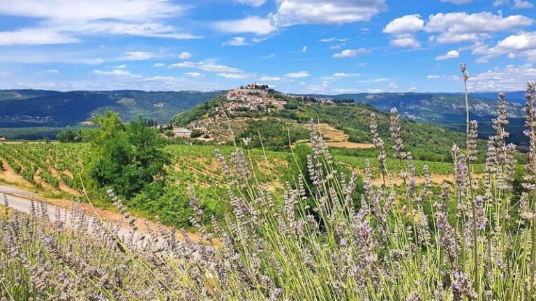 Croatia, Istria: 7-Day Premium Cycling & Gourmet E-Bike Tour