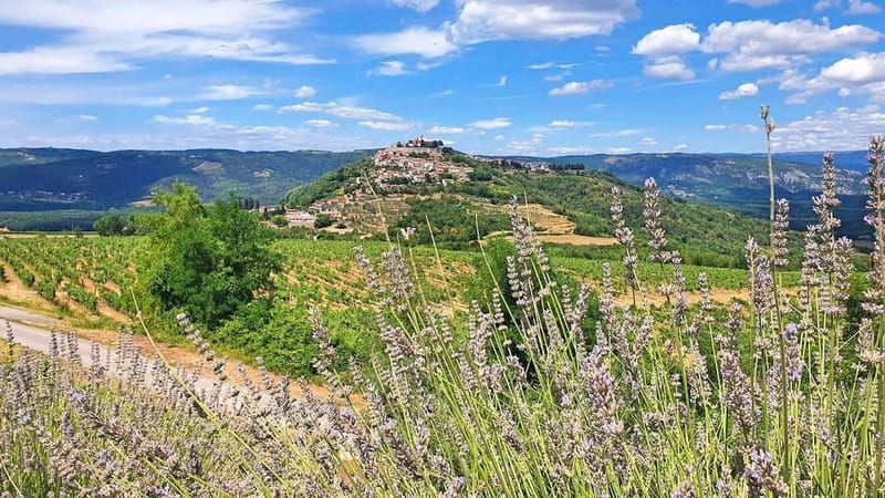 Croatia, Istria: 7-Day Premium Cycling & Gourmet E-Bike Tour - An In-Depth Look at the Istria Cycling & Gourmet Experience
