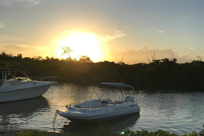 Cruise on a 21 Luxury Deck Boat Choice of Tour Sandbars Watermat - Practical Details and What It Means for You